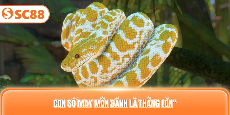 Con số may mắn đánh là thắng lớn