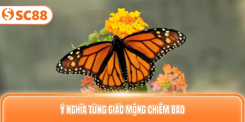 Ý nghĩa từng giấc mộng chiêm bao